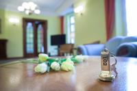 TV a/nebo společenská místnost v ubytování Retro Hotel Villa Ostrava
