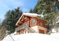 a house on a snow covered hill with trees at LE GRAND CERF Chalet en rondins avec SPA Jacuzzi in La Bresse