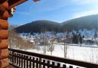 a view of a snowy mountain from a cabin window at LE GRAND CERF Chalet en rondins avec SPA Jacuzzi in La Bresse