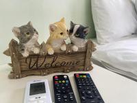 three cats in a wooden box on a table with a clock at 萩閣民宿Sara&#39;s House走路可到夜市近市區好停車 in Hualien City