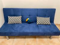 a bird sitting on a blue couch with two pillows at Le Toucan Tropical, F2 bis emplacement central in Fort-de-France