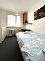 Posteľ alebo postele v izbe v ubytovaní Cozy, bright room with free parking