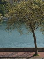 a tree on a sidewalk next to a body of water at Le petit Opéra in Lyon