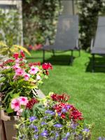 A garden outside Ivy, 4 minutes from the sea