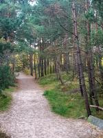 Príroda v okolí apartmánu