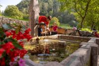 A garden outside Miravalle