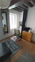a living room with a green chair and a desk at Beau studio PARIS beau quartier cœur de Paris 5e in Paris