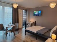 Televízia a/alebo spoločenská miestnosť v ubytovaní Apartament Kryształowy