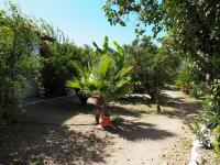 A garden outside Nikos 9