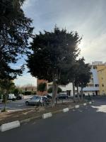 Plán poschodí v ubytovaní Appartement T2 cap d agde au calme proche toute commodité port et île des loisirs