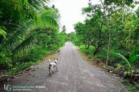 Půdorys ubytování บ้านสวนอุดมสวัสดิ์ อัมพวา