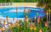 a pool with a bunch of flowers in front of it at Lovely Home In Saint-savinien With Outdoor Swimming Pool in Saint-Savinien