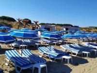 a bunch of blue chairs and umbrellas on a beach at Studio Le Grau-du-Roi, 1 pièce, 4 personnes - FR-1-307-123 in Le Grau-du-Roi