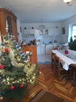 Kuchyňa alebo kuchynka v ubytovaní APARTMAN PAVELIĆ