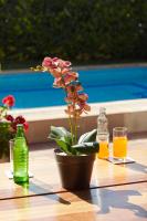 a table with a potted plant and a glass of orange juice at Deerpark Luxury Stays in Nairobi