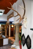 Foto de la galería de Gasthof Hotel Zweimüller en Grieskirchen