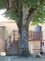a tree with a wooden staircase next to a building at L’ESPRIT JANADE – GITE 4 A 6 PERSONNES. in Fénols