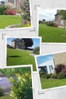 a collage of pictures of flowers and houses at Gîte d&#39;Anne et Ulysse in Sept-Frères