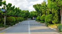 Půdorys ubytování Bungalows - Càmping El Solsonès
