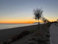 a tree on the beach with the sunset in the background at Casa Las Toro Playa in Chilches