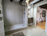 a bathroom with a walk in shower and a sink at Appartement des Serruriers in Strasbourg