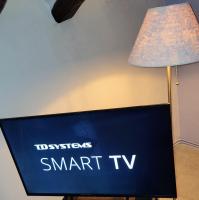 Televízia a/alebo spoločenská miestnosť v ubytovaní Casa Boutique el Capricho Adults Only