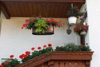A garden outside Ferienwohnung Stock