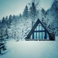 una cabaña en un bosque cubierto de nieve con árboles en Vrleti Tare, en Bajina Bašta