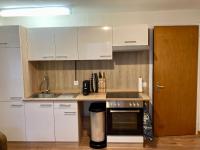 Kuchyň nebo kuchyňský kout v ubytování Ferienwohnung Haus am Bach in Toggenburg