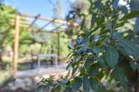 Ogród w obiekcie Wood Chalet 1 Monaco Forest La Turbie - Sleeps 5 people
