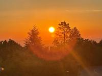 a sunset with the sun setting behind trees at Le Planzollais in Planzolles