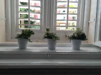 Plán poschodí v ubytovaní Villa Peppina Apartment