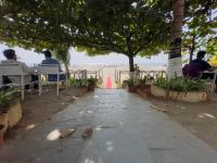 duas pessoas sentadas numa mesa debaixo de uma árvore em Maitree Beach Resort em Arambol