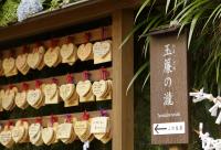 天成園に飾ってある許可証、賞状、看板またはその他の書類