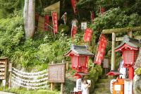 天成園にある庭