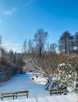 La maisonnette du lac de Genval durante el invierno