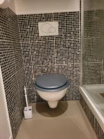 a bathroom with a toilet with a blue lid at Appartement de charme et jardin in Bihorel
