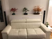 a white leather couch in a living room with two trees at Cosy Appartement in Paris 15th - Convention Center in Paris