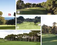 Golf v prázdninového domu nebo okolí