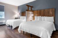 Extended Stay America Premier Suites - Tampa - Fairgrounds - Casinoにあるベッド