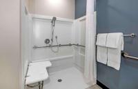 Extended Stay America Premier Suites - Tampa - Fairgrounds - Casinoにあるバスルーム