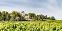 a house on a hill behind a field of crops at Château Les Carrasses in Capestang