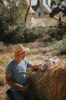 a man in a hat is petting a baby sheep at Château Les Carrasses in Capestang