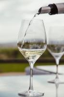 two glasses of white wine sitting on a table at Château Les Carrasses in Capestang