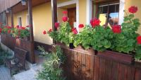 Zahrada ubytování Apartmany Kanianka