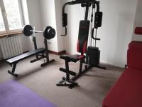Fitness centrum a/nebo fitness zařízení v ubytování Retro Hotel Villa Ostrava