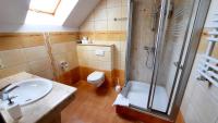 a bathroom with a sink and a shower and a toilet at Malachit Karpacz SPA Hotel in Karpacz