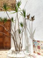 a group of palm trees in front of a building at Vejerísimo Casa Boutique in Vejer de la Frontera