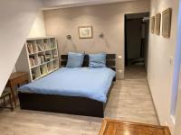 a bedroom with a large bed with blue pillows at Propriete de 2 chambres avec terrasse et wifi a Saint Denis in Saint-Denis