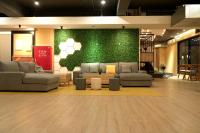 a living room with couches and a green wall at Meeting Mates Hostel in Taipei